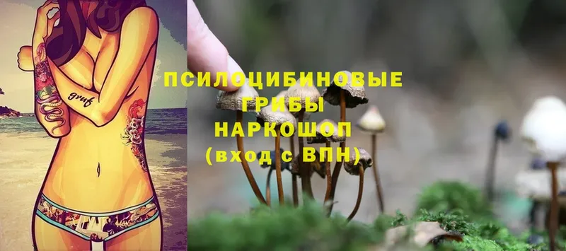 Псилоцибиновые грибы Magic Shrooms  закладка  Фёдоровский 